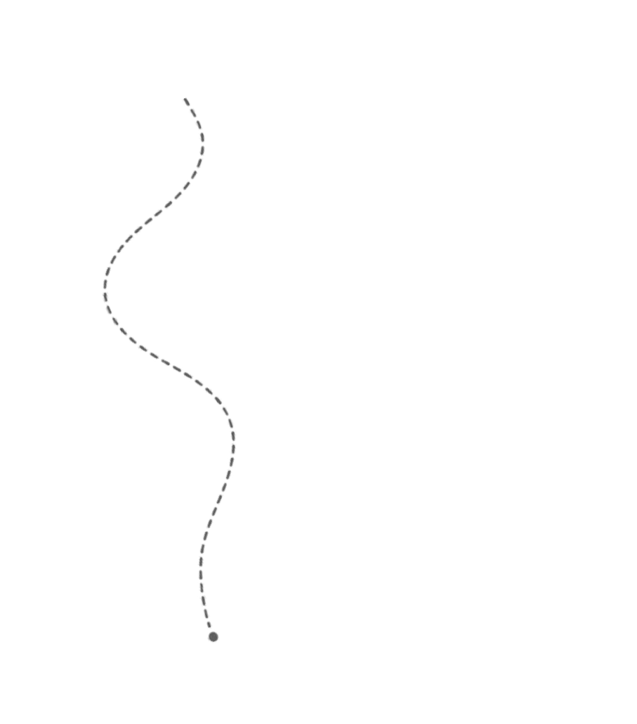 Dotted Line 2